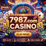 7987.com