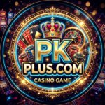 PKPLUS.COM