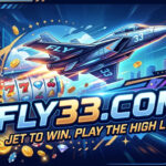 FLY33.COM